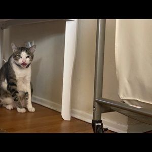 Meet your Posher, Roberto